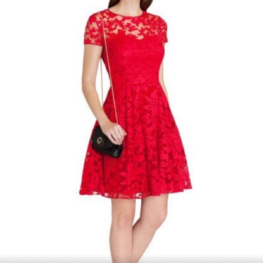 Ted Baker London Caree Sheer Floral Overlay Fit&Flare Mini Dress Size 6